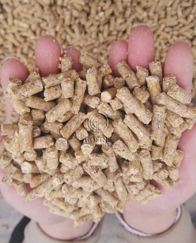 Granules made by Gofine feed pellet machine