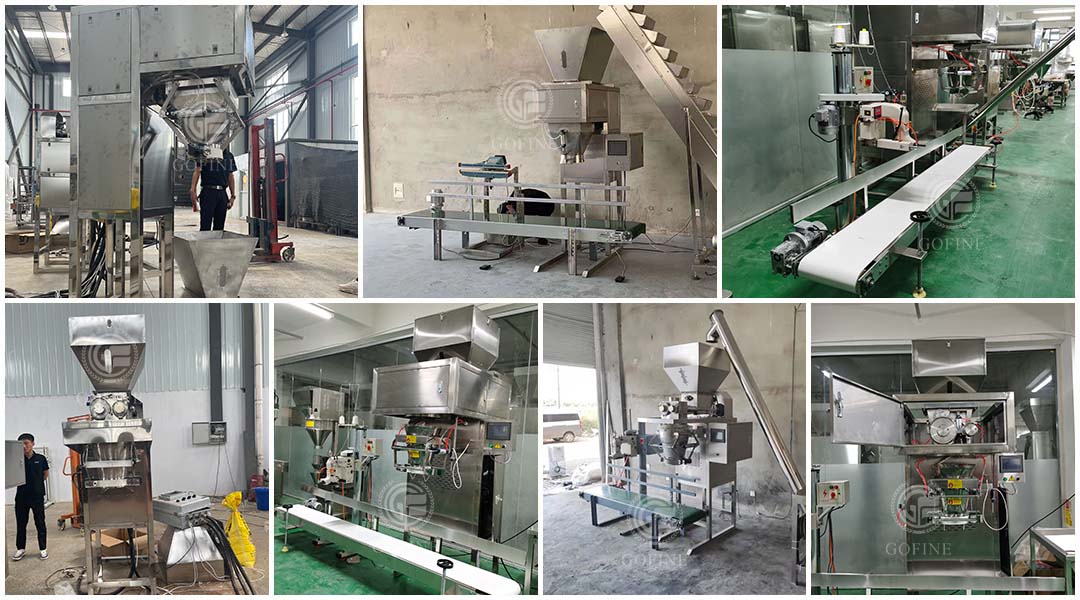 Feed powder packaging machine