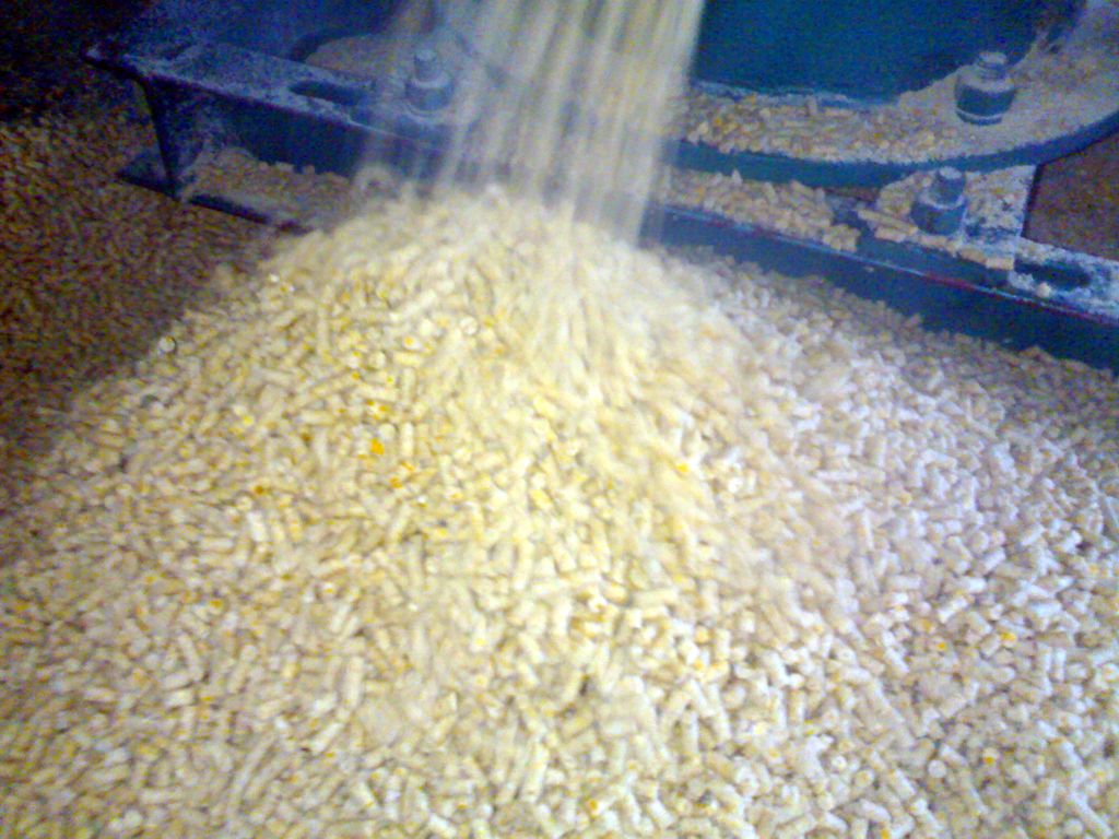 Feed pellet machine to make pellets