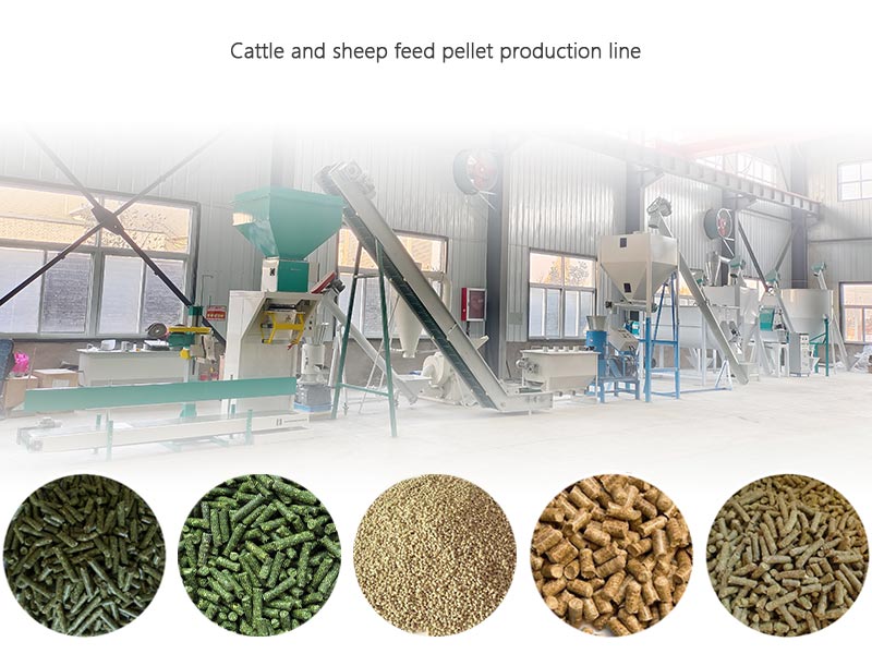 cattle and sheep feed pellet processing line