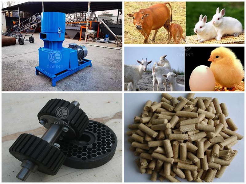 How to choose a feed pellet mill