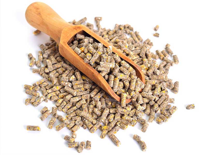 Chicken feed pellet