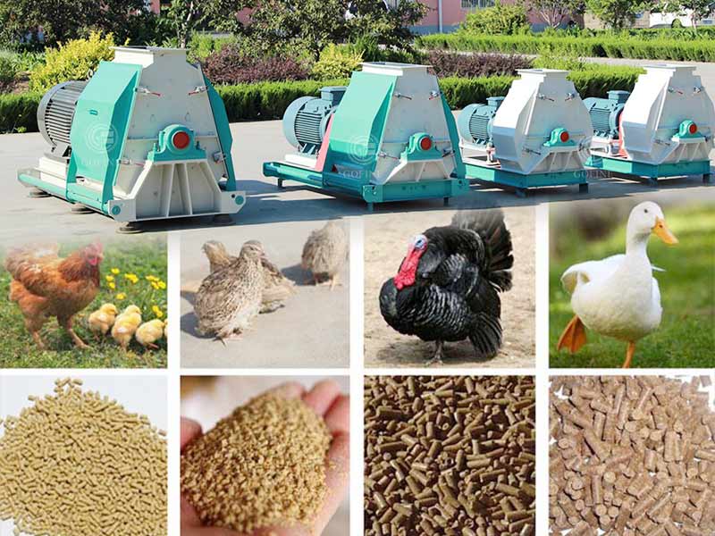 efficient poultry feed Crusher