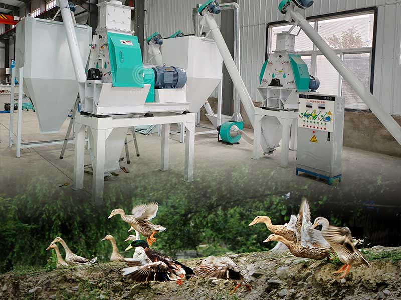 1-100T/H Duck feed pellet production line