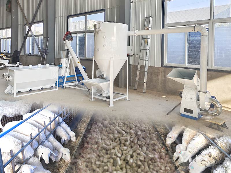 Efficient sheep feed production line solution