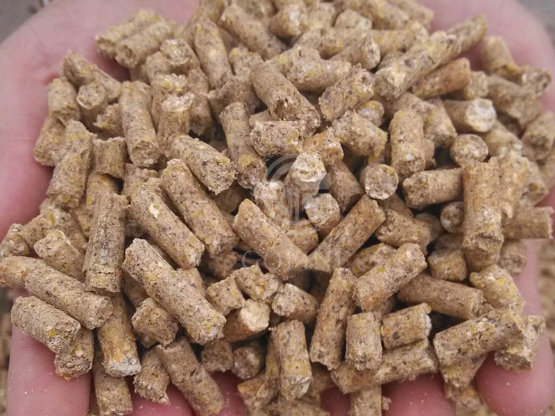 Cattle Feed Pellet