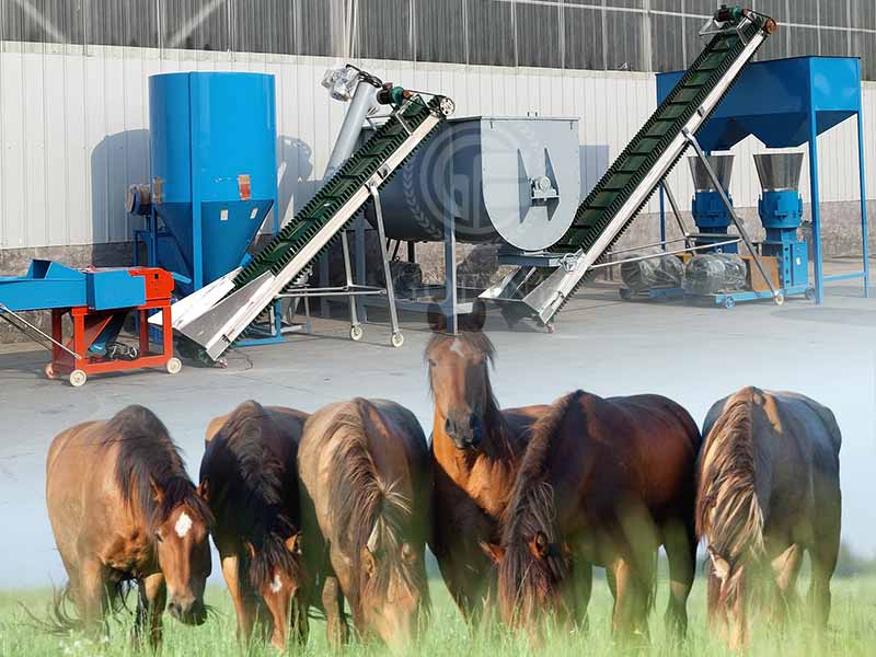 Horse feed production line production process