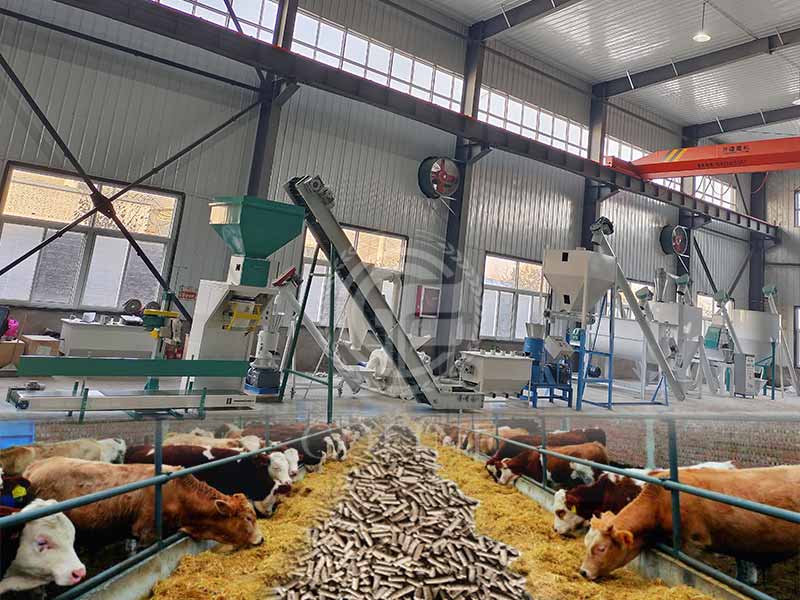 Commercial cattle feed machine production line price