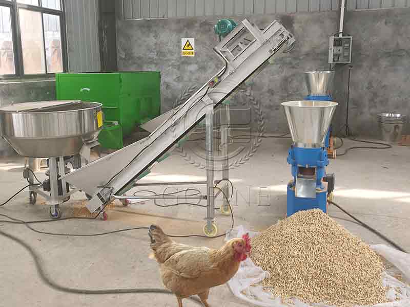 feed production line