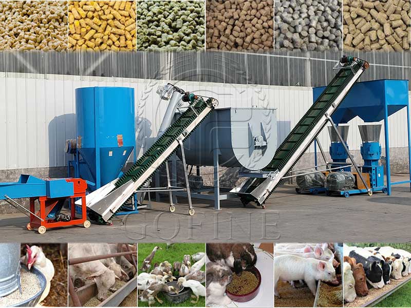 Excellent Animal Feed Production Line Manufacturer