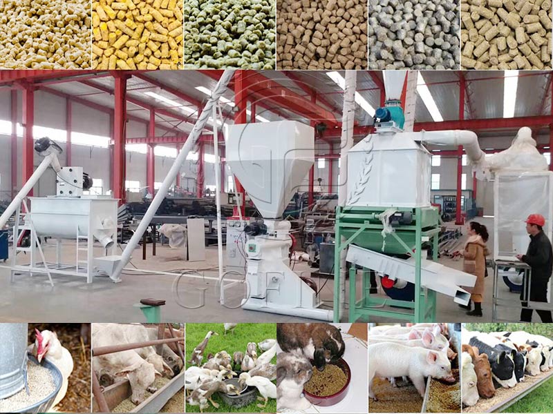 Efficient and durable livestock feed production line