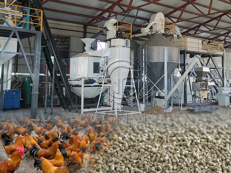 100T/H Poultry Feed Production Line/Factory Solution