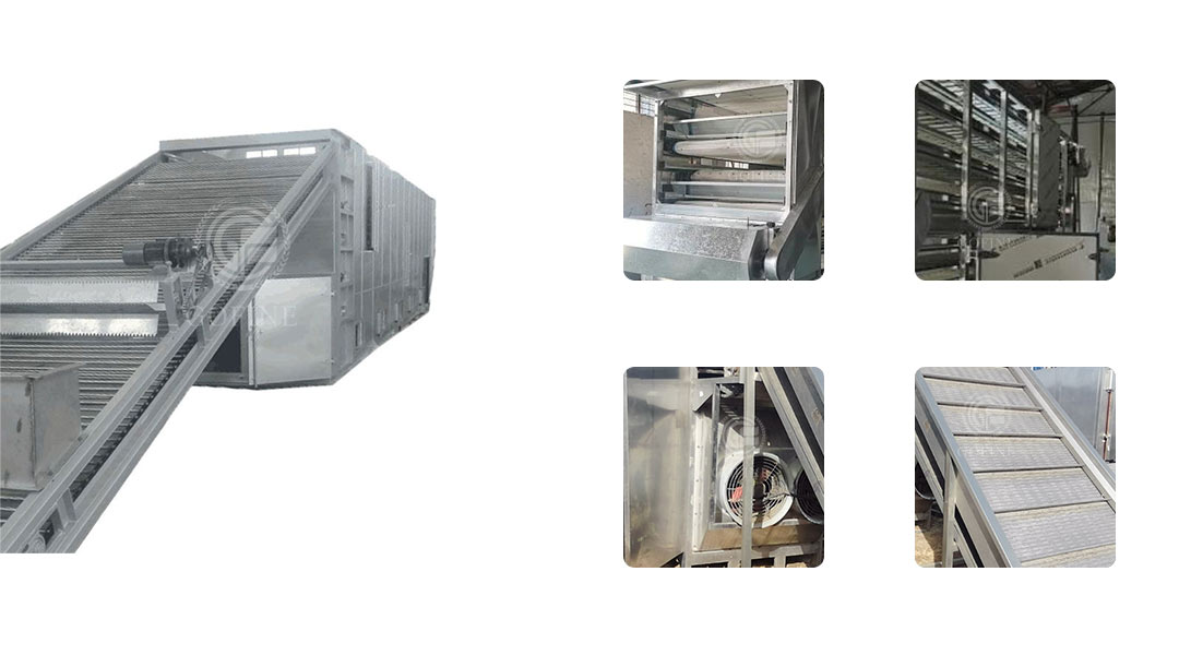 Feed pellet mesh belt dryer