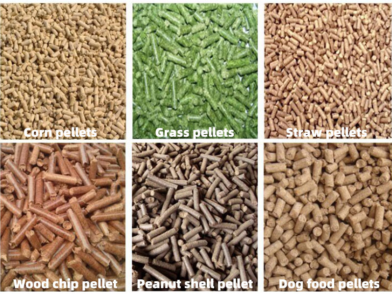 Feed Pellet Machine Price for Sale South Africa