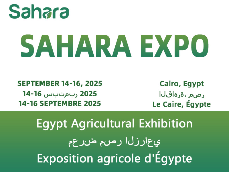 Gofine Machinery sincerely invites you to the 2025 Egypt Gofine Machinery sincerely invites you to the 2025 Egypt