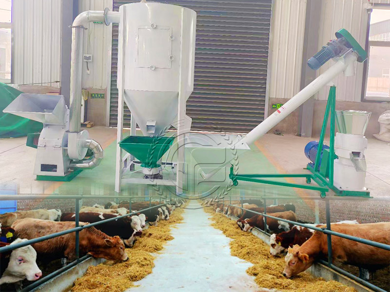 Special feed pellet machine unit for large cattle farms