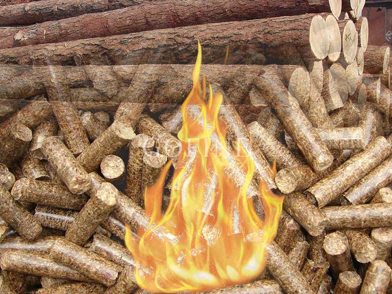 Process Guide: How to Make Biomass Fuel Pellets with a Flat Die Pellet Mill