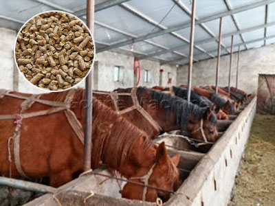Professional Animal Feed Pellet Machine for Horse Far