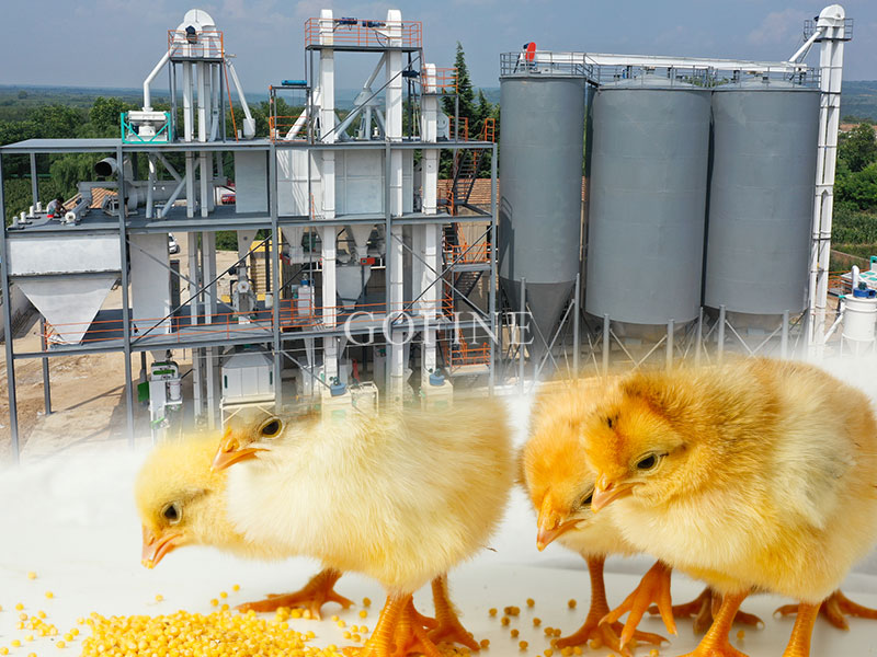 Chicken Feed Mill Turnkey Project