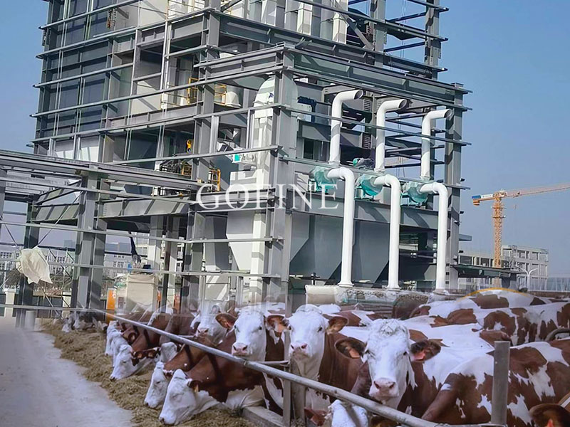 Cattle Feed Mill Turnkey Project
