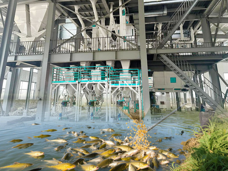 Fish Feed Mill Turnkey Project