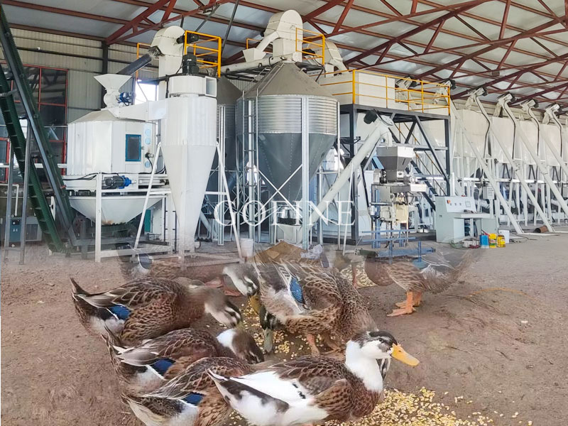 Duck Feed Mill Turnkey Project