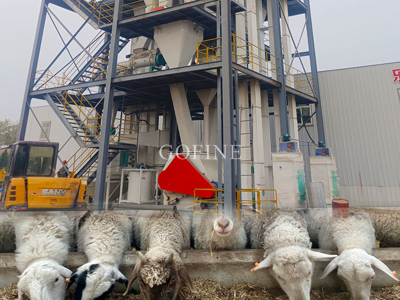 Sheep Feed Mill Turnkey Project