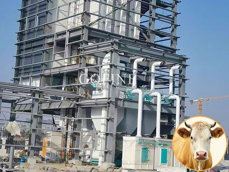 Cattle Feed Mill Turnkey Project