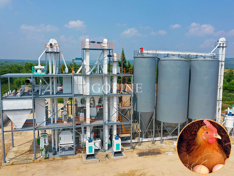 Chicken Feed Mill Turnkey Project