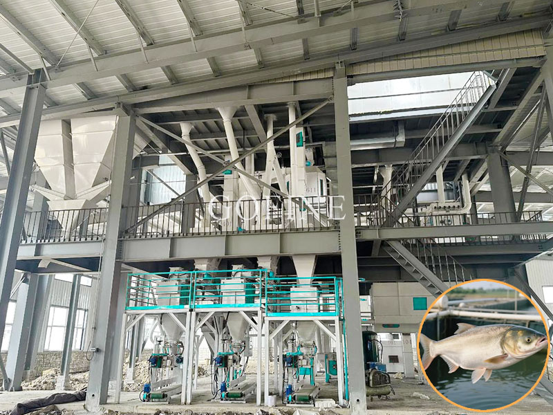 Fish Feed Mill Turnkey Project