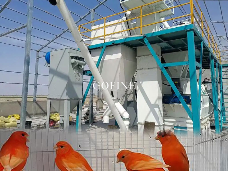 Turnkey Bird Feed Production Line | Complete Bird Feed Manufacturing Plant